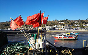 Lyme Regis