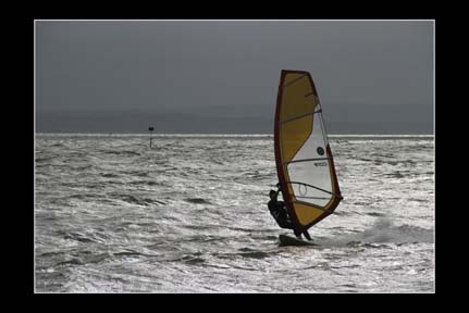 Windsurfer