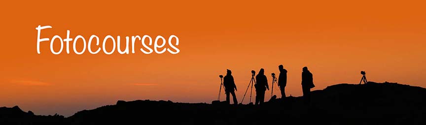 Fotocourses logo